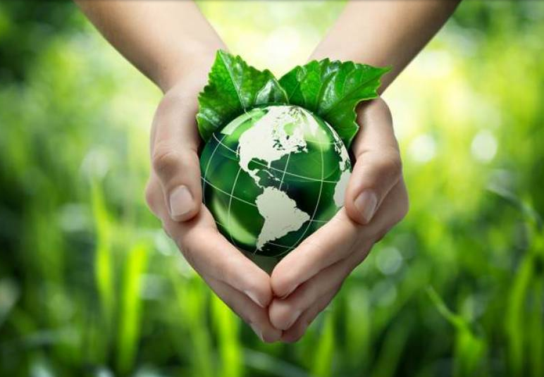 Pakistan hosts World Environment Day