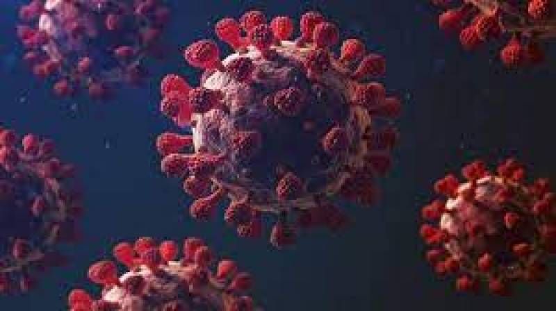 COVID-19: Pakistan reports 1,828 new cases, 35 deaths in last 24 hours