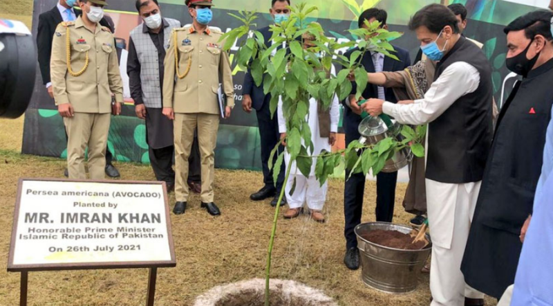 PM Imran kicks off countrywide monsoon plantation drive