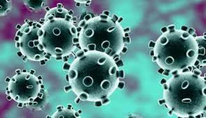 COVID-19: Pakistan reports 580 new cases, 19 deaths in last 24 hours