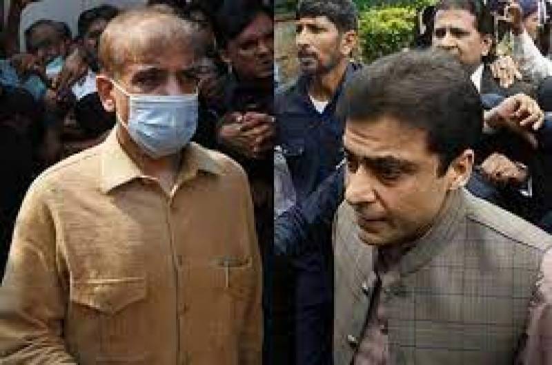 Court extends interim bail of PM Shehbaz, CM Hamza till June 11