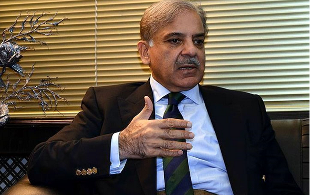 Pakistan's future lies in human capital formation: PM Shehbaz