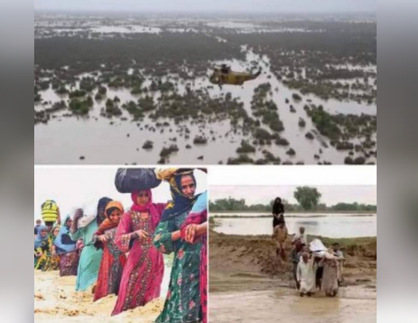 Floods claim 37 more lives in Pakistan, death toll rises to 1,545: NDMA