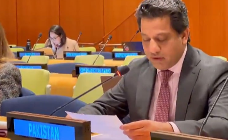 Pakistan calls for equitable representation in UNSC to make it democratic, effective