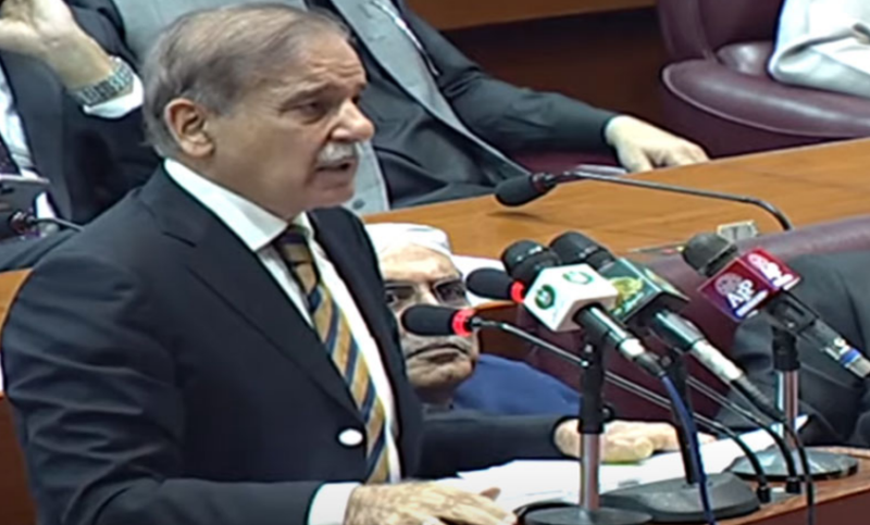 PM Shehbaz wins vote of confidence in NA