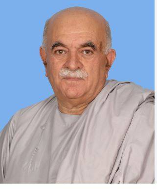 Mahmood Khan Achakzai demands postponement of presidential election