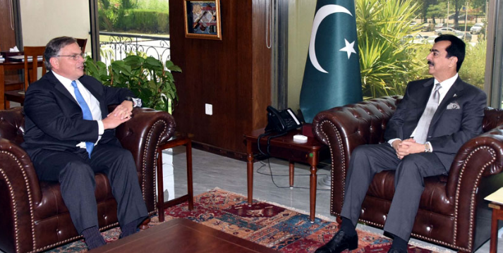 US envoy, Senate Chairman Gilani discuss bilateral ties