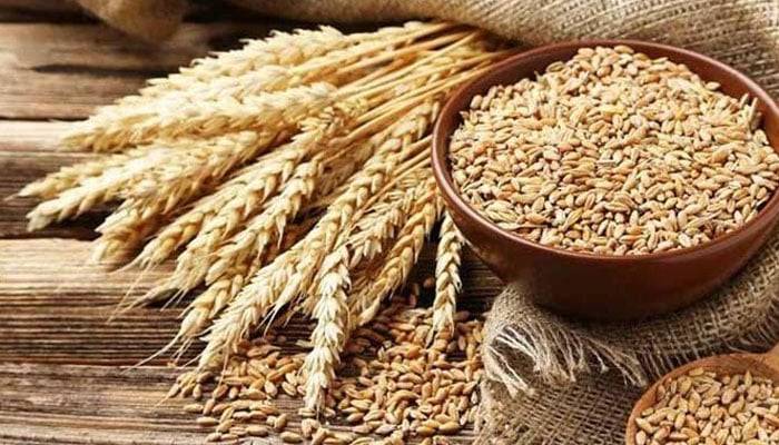 Punjab refuses to take wheat crisis responsibility, Nawaz summons Shehbaz