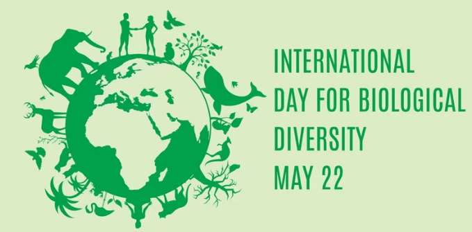 International Day of Biological Diversity observed
