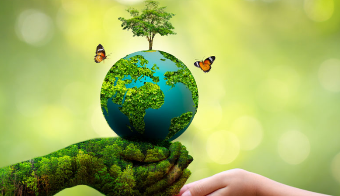 World Environment Day observed 