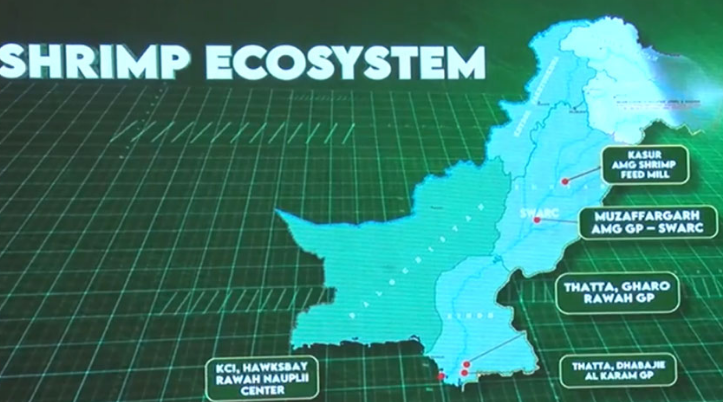 SIFC playing pivotal role in promotion of aquaculture in Pakistan on modern foots