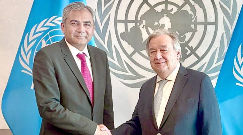 Interior Minister Mohsin Naqvi calls on UN chief 