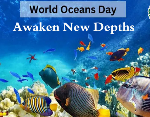 World Oceans Day observed