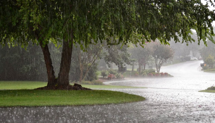 NDMA issues alert for more monsoon rains, thundershowers from July 28-31