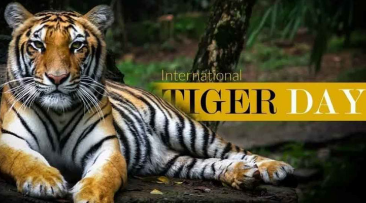 International Tiger Day being observed today