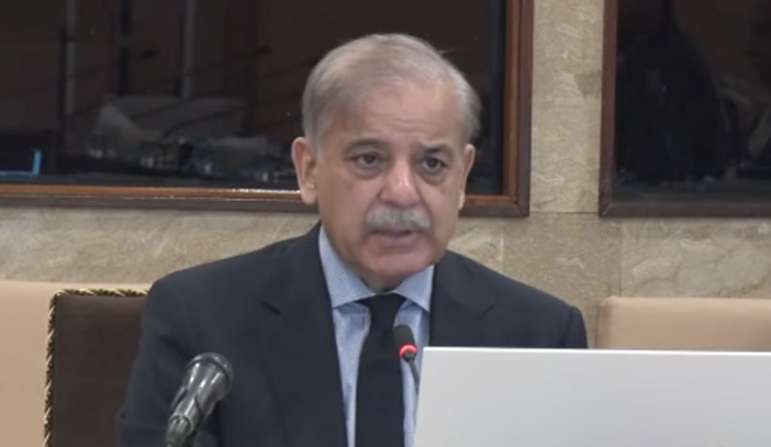 Reducing electricity prices top priority of PML-N’s coalition govt: PM Shehbaz