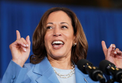 Kamala Harris officially secures Democratic Party’s nomination for president