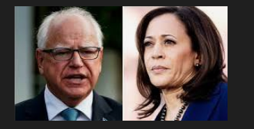 US VP Kamala Harris picks Minnesota governor Tim Walz as her running mate 