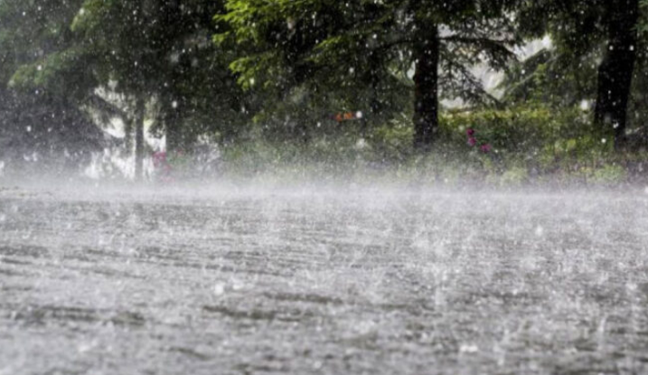 More monsoon rains expected from August 9 to 12 with occasional gaps: PMD