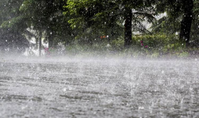 More monsoon rains likely from August 14 to 18: PMD