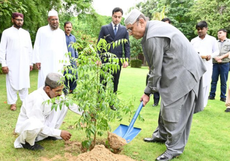 President Zardari calls for enhancing national forest cover