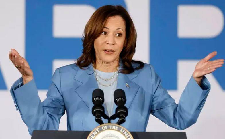 Kamala Harris formally accepts Democratic nomination for US president 