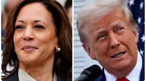 Harris, Trump tied in final stretch of 2024 presidential race, NYT poll