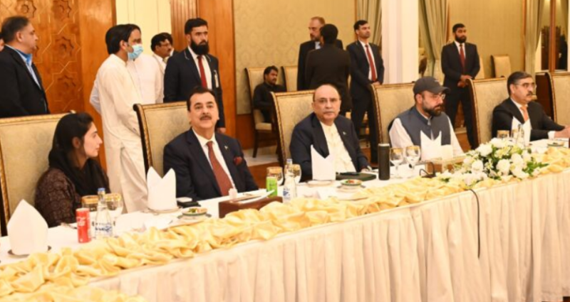 President Zardari for political stability, strengthening democracy