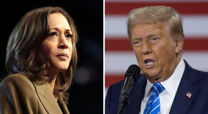 Arab American vote indicates 42% support for Trump, 41% for Harris: survey