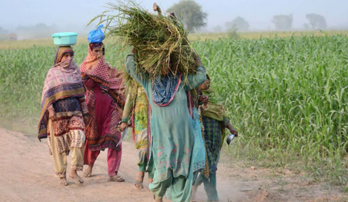 International Day of Rural Women observed  