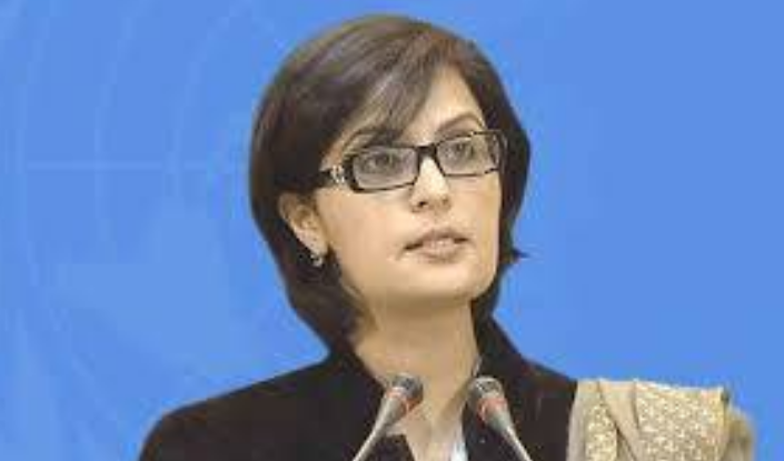 PTI's Dr Sania Nishtar resigns from Senate 