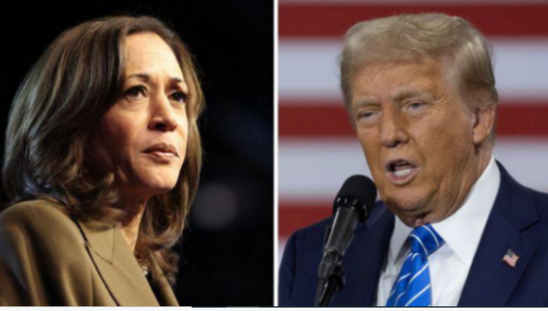 US Presidential Election 2024: Harris warns of dangers of another Trump presidency