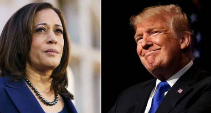 US Election: In final campaign push, Harris and Trump intensify efforts to secure votes