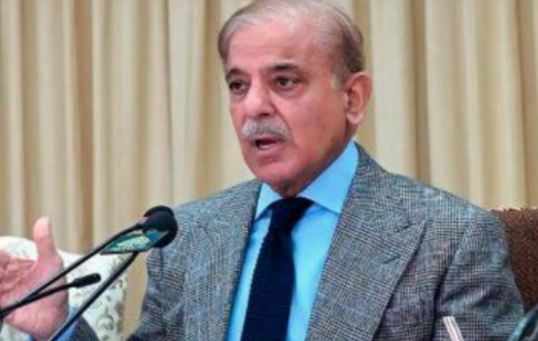 PM Shehbaz to attend Joint Arab Islamic Summit in KSA, COP29 in Azerbaijan 