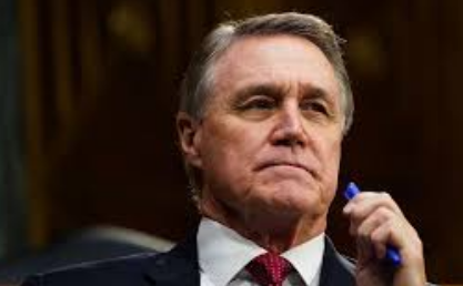 Trump taps former senator David Perdue as US ambassador to China