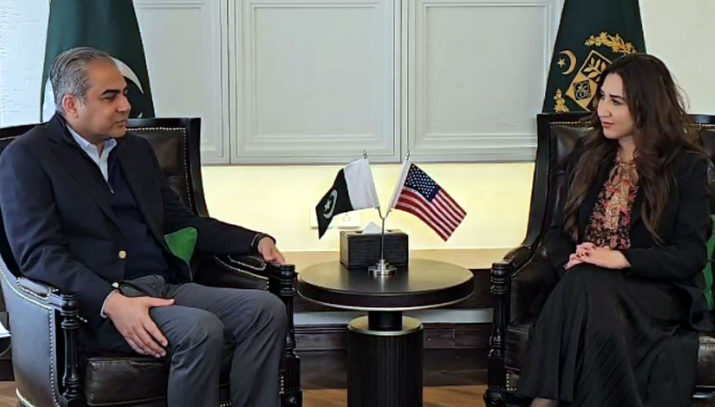 Naqvi, US envoy discuss boosting ties, modernizing law enforcement