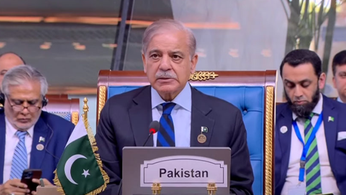 D-8 Summit: PM Shehbaz says youth, SMEs are key drivers of economic development