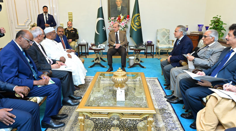 PM Shehbaz reaffirms unwavering support for OIC's shared goals