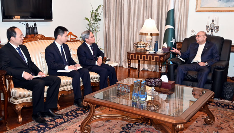 President Zardari, Chinese envoy discuss bilateral ties, Indian aggression 