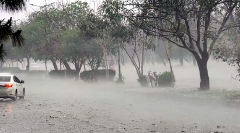 At least 8 dead, several injured as windstorm, rain lash Punjab: PDMA