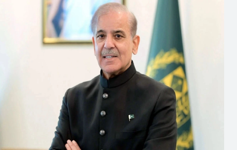 PM Shehbaz felicitates Lahore Qalandars on winning PSL 10 title