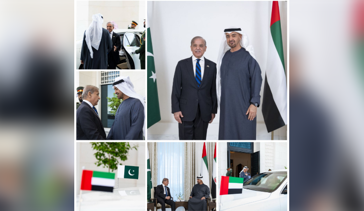 PM Shehbaz, UAE president discuss bilateral cooperation, regional developments