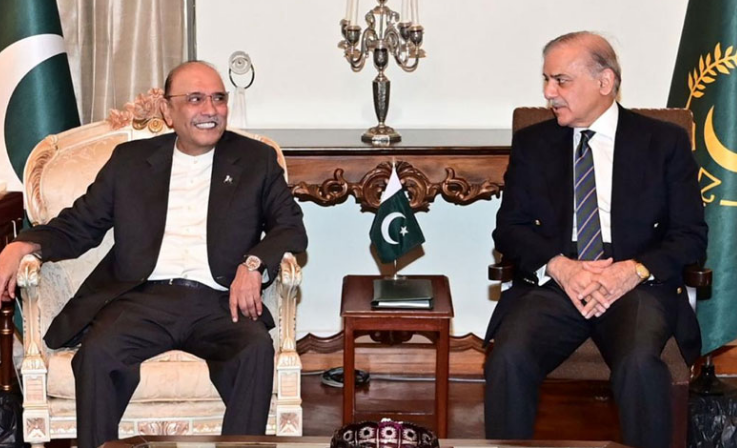 President Zardari, PM Shehbaz discuss political, economic situation