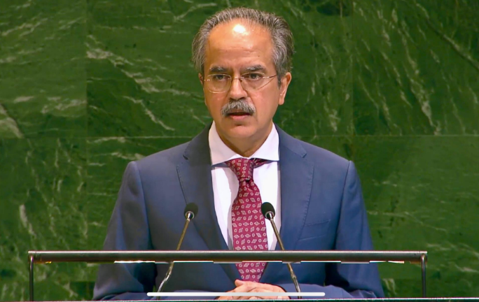 At UN, Pakistan calls Gaza situation a 'stain on collective conscience of humanity'