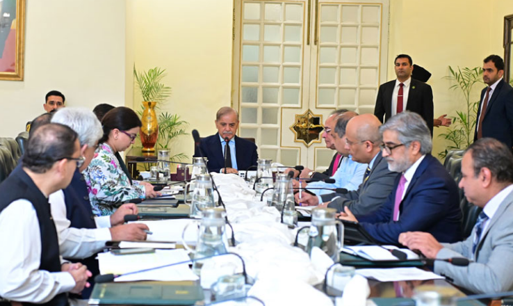 PM Shehbaz forms committee to promote cashless economy, digitisation