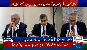 Ishaq Dar urges peaceful resolution of Kashmir issue at OIC meeting