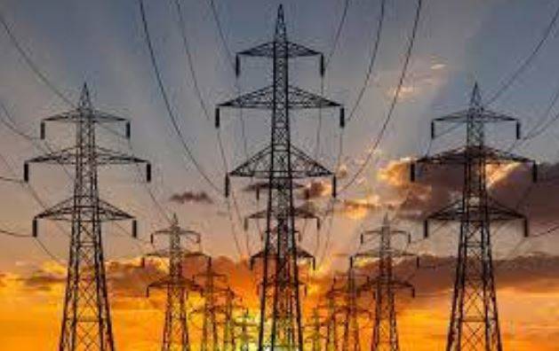 Government provides relief to domestic consumers, removes electricity duty from bills