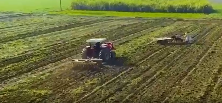 Govt establishes new authority NAFSA to modernise agriculture
