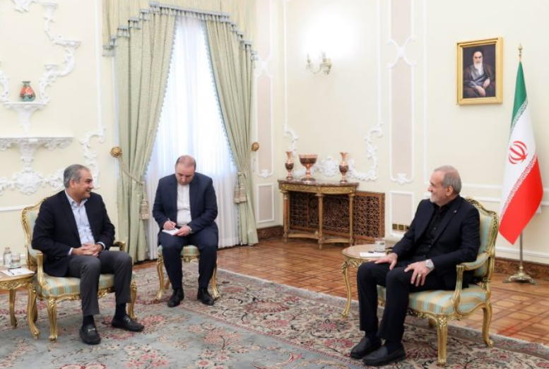 Interior Minister Naqvi meets Iranian President Masoud Pezeshkian, reaffirms deeper bilateral cooperation