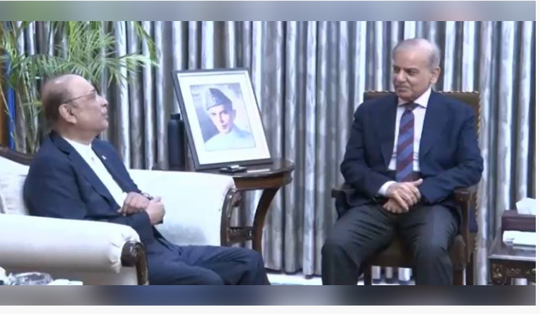 President Zardari, PM Shehbaz vow joint efforts for Pakistan's prosperity